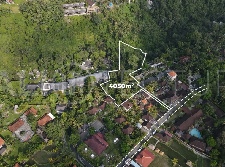 4050m2-Premium-Land-for-Sale-Ideal-for-Development-in-a-Touristic-Area-of-Ubud-5