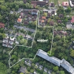 4050m2-Premium-Land-for-Sale-Ideal-for-Development-in-a-Touristic-Area-of-Ubud-6