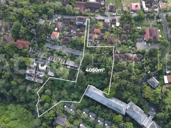 4050m2-Premium-Land-for-Sale-Ideal-for-Development-in-a-Touristic-Area-of-Ubud-6