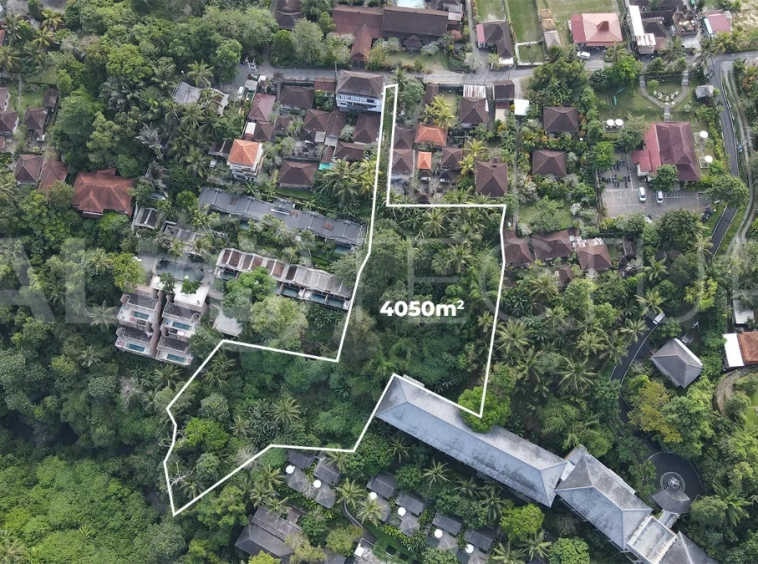 4050m2-Premium-Land-for-Sale-Ideal-for-Development-in-a-Touristic-Area-of-Ubud-6
