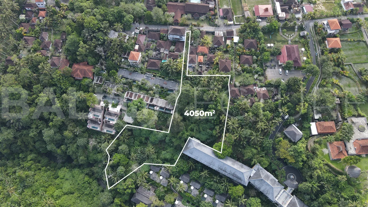 4050m2-Premium-Land-for-Sale-Ideal-for-Development-in-a-Touristic-Area-of-Ubud-6