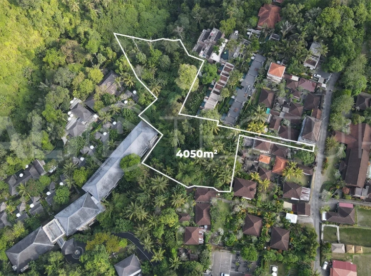 4050m2-Premium-Land-for-Sale-Ideal-for-Development-in-a-Touristic-Area-of-Ubud-1