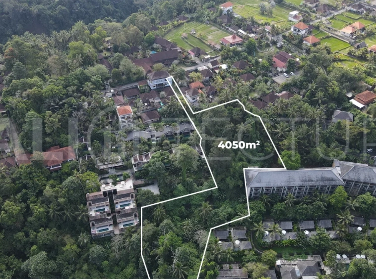 4050m2-Premium-Land-for-Sale-Ideal-for-Development-in-a-Touristic-Area-of-Ubud-2