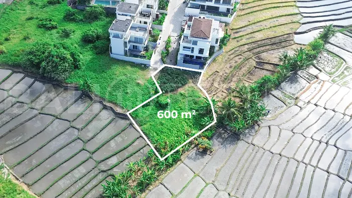 600 sqm Freehold Land with Rice Field View in Cemagi2