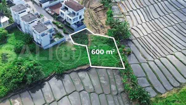 600 sqm Freehold Land with Rice Field View in Cemagi3