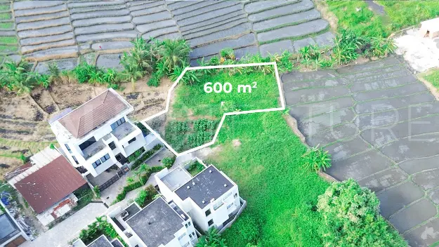 600 sqm Freehold Land with Rice Field View in Cemagi4