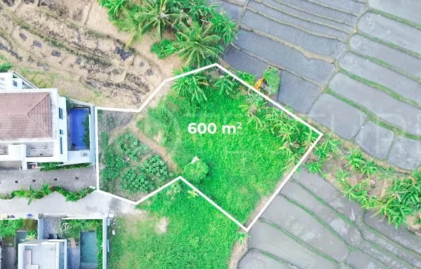 600 sqm Freehold Land with Rice Field View in Cemagi5