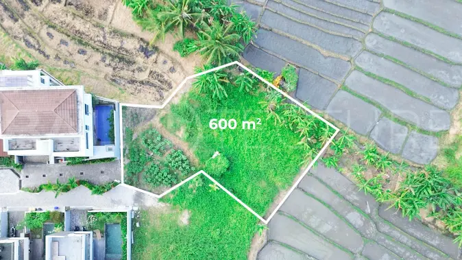 600 sqm Freehold Land with Rice Field View in Cemagi5
