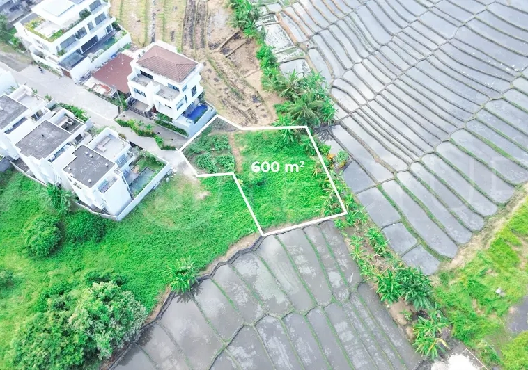 600 sqm Freehold Land with Rice Field View in Cemagi6