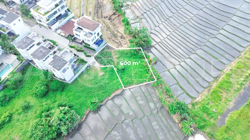 600 sqm Freehold Land with Rice Field View in Cemagi6