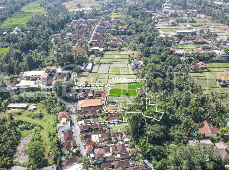 Jungle-View-1058m2-Land-for-Sale-in-Ubud-7