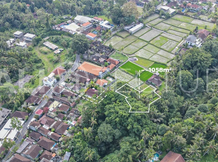 Jungle-View-1058m2-Land-for-Sale-in-Ubud-8
