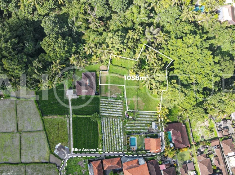 Jungle-View-1058m2-Land-for-Sale-in-Ubud-1