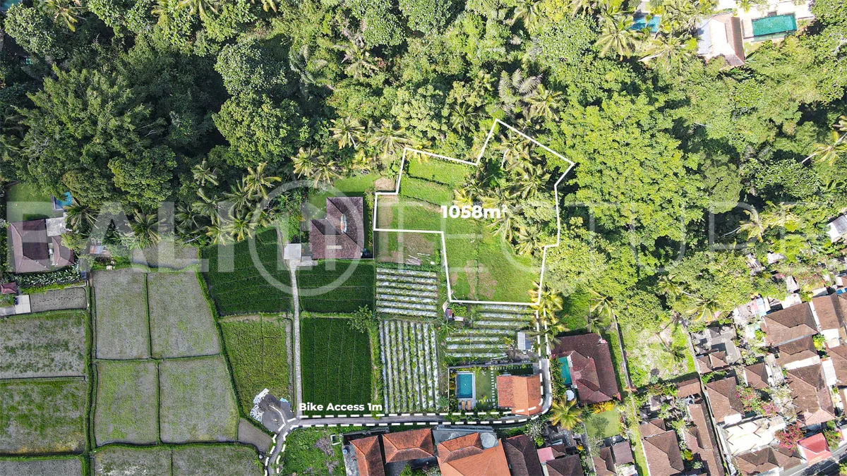 Jungle-View-1058m2-Land-for-Sale-in-Ubud-1