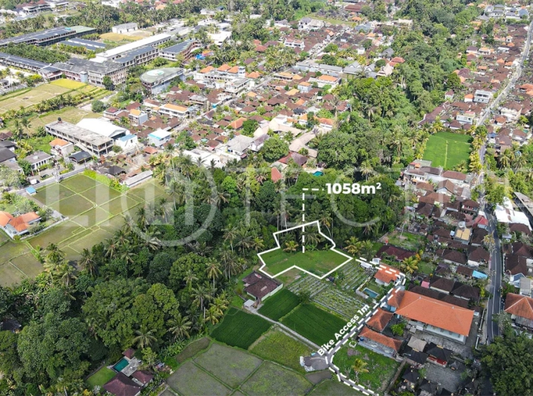Jungle-View-1058m2-Land-for-Sale-in-Ubud-2