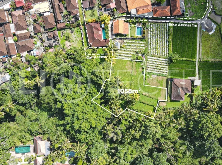 Jungle-View-1058m2-Land-for-Sale-in-Ubud-3