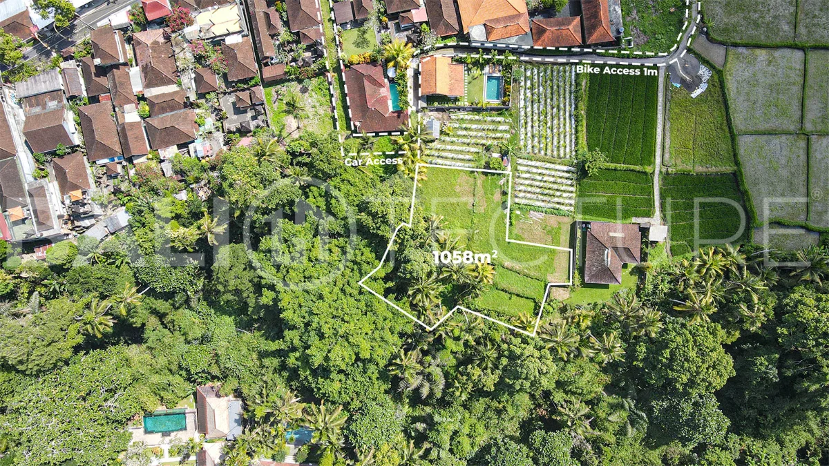 Jungle-View-1058m2-Land-for-Sale-in-Ubud-3