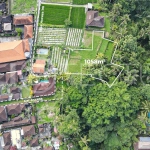 Jungle-View-1058m2-Land-for-Sale-in-Ubud-4