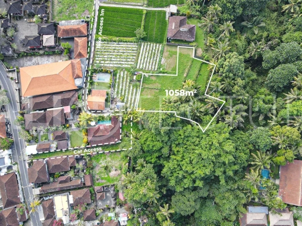 Jungle-View-1058m2-Land-for-Sale-in-Ubud-4