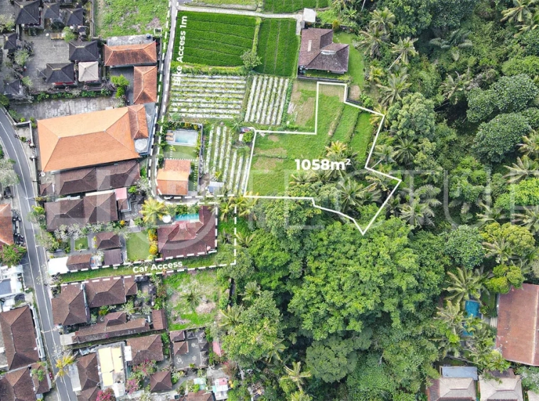 Jungle-View-1058m2-Land-for-Sale-in-Ubud-4