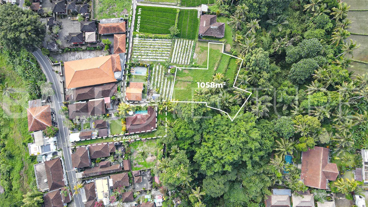 Jungle-View-1058m2-Land-for-Sale-in-Ubud-4
