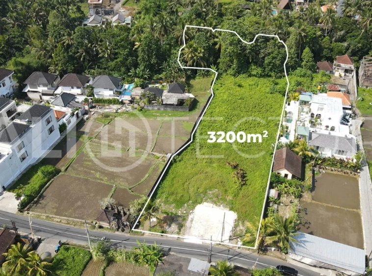 Prime-3200m2-Development-Land-for-Sale-in-Ubud-5