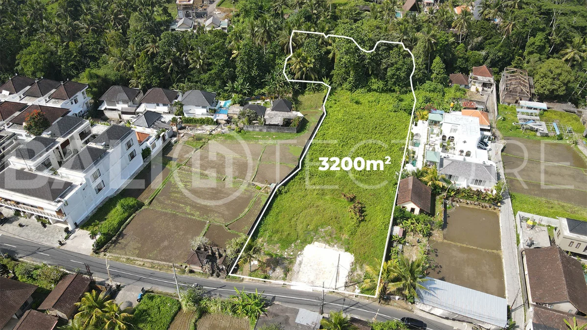Prime-3200m2-Development-Land-for-Sale-in-Ubud-5