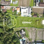 Prime-3200m2-Development-Land-for-Sale-in-Ubud-6