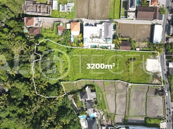 Prime-3200m2-Development-Land-for-Sale-in-Ubud-6