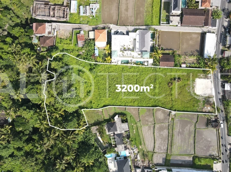 Prime-3200m2-Development-Land-for-Sale-in-Ubud-6