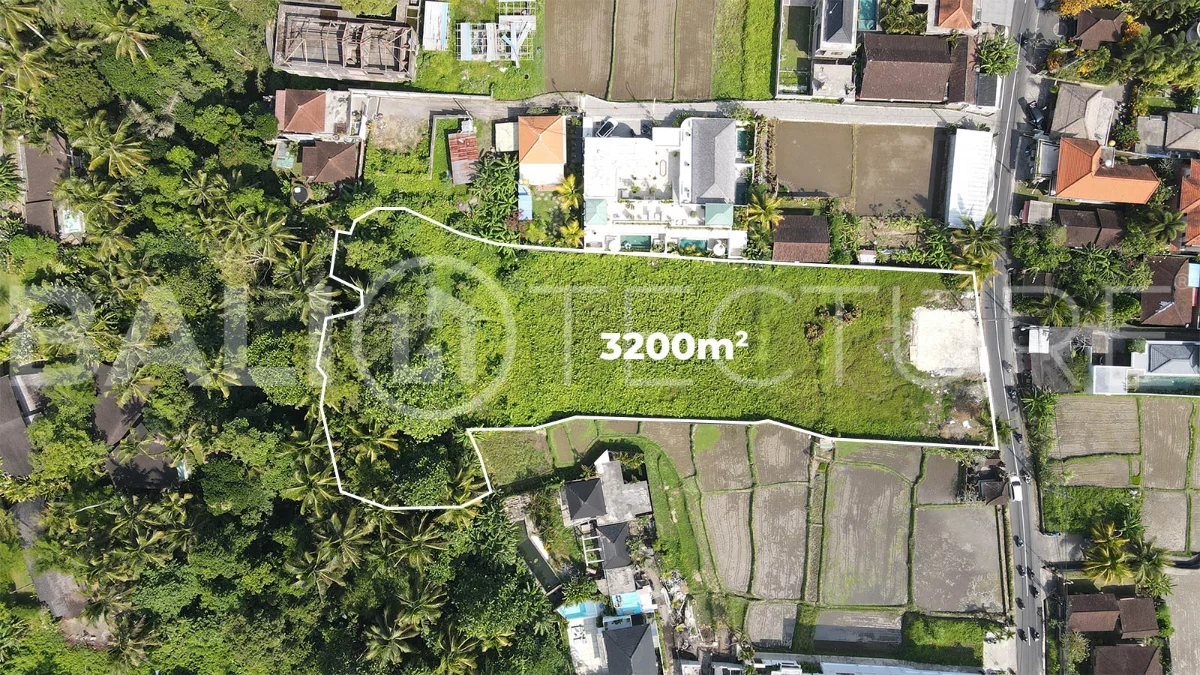 Prime-3200m2-Development-Land-for-Sale-in-Ubud-6