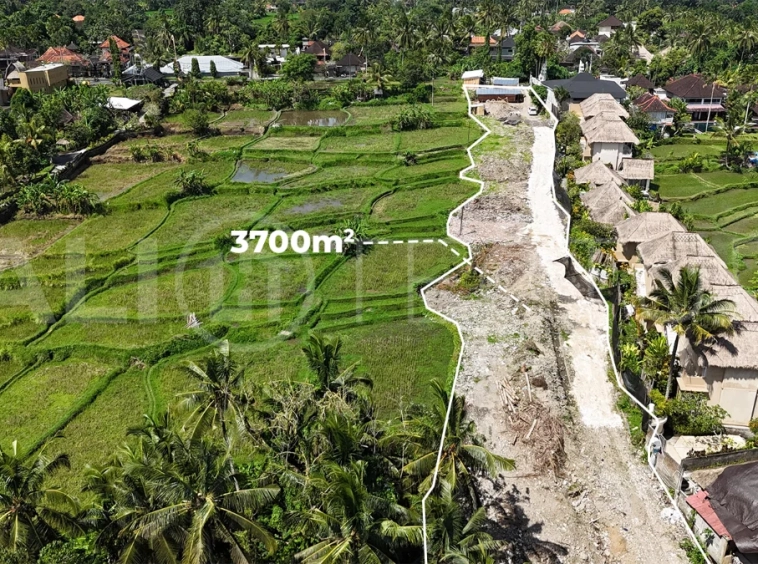 Prime-Land-for-Sale-with-Unobstructed-Rice-Field-Views-Near-Ubud-Centre-1