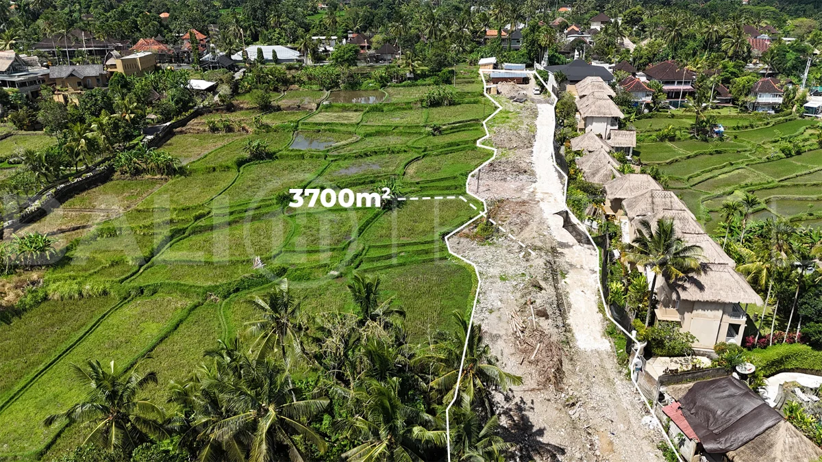 Prime-Land-for-Sale-with-Unobstructed-Rice-Field-Views-Near-Ubud-Centre-1
