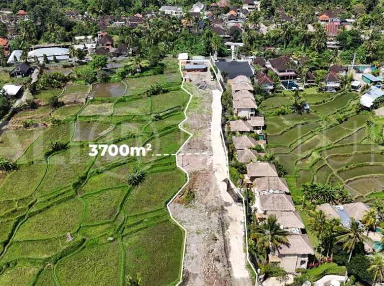 Prime-Land-for-Sale-with-Unobstructed-Rice-Field-Views-Near-Ubud-Centre-2