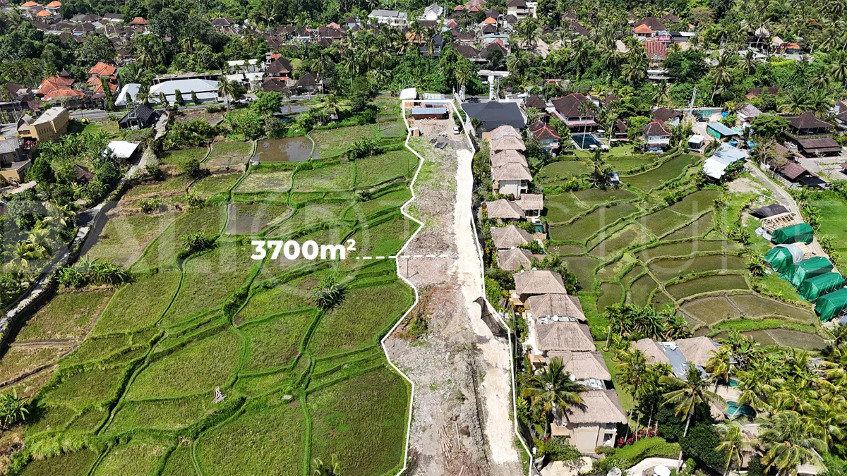 Prime-Land-for-Sale-with-Unobstructed-Rice-Field-Views-Near-Ubud-Centre-2