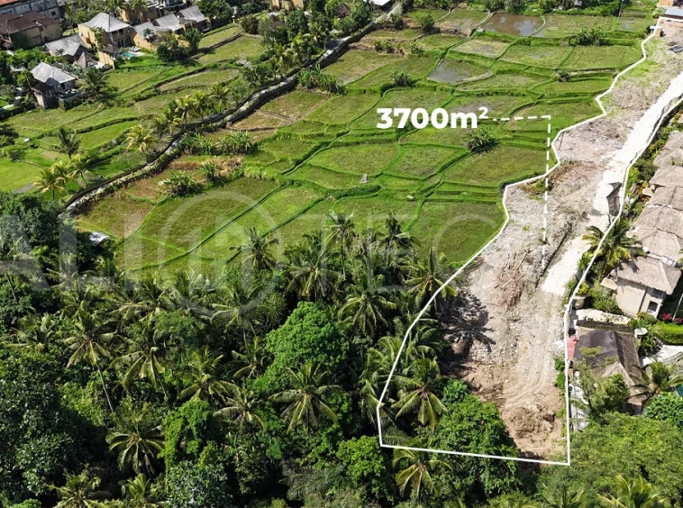 Prime-Land-for-Sale-with-Unobstructed-Rice-Field-Views-Near-Ubud-Centre-3