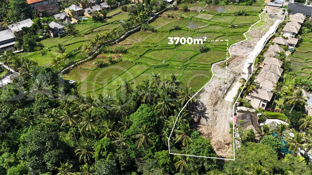 Prime-Land-for-Sale-with-Unobstructed-Rice-Field-Views-Near-Ubud-Centre-3