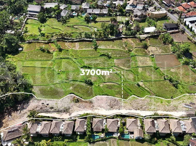 Prime-Land-for-Sale-with-Unobstructed-Rice-Field-Views-Near-Ubud-Centre-4