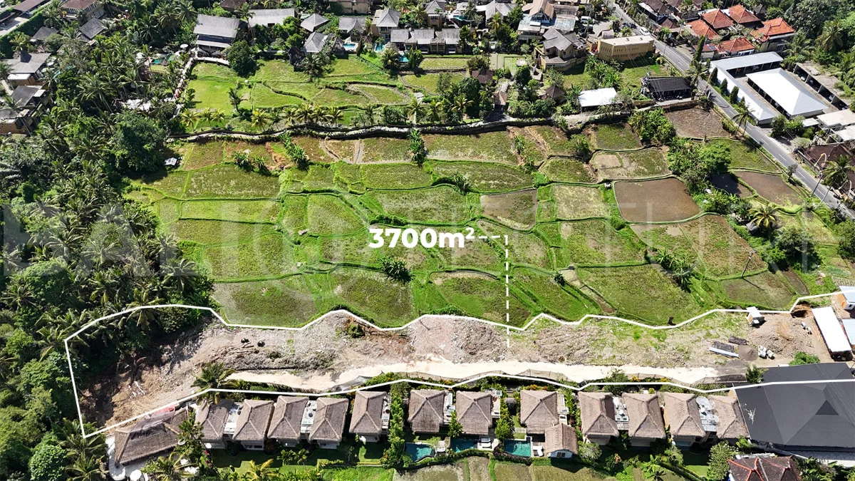 Prime-Land-for-Sale-with-Unobstructed-Rice-Field-Views-Near-Ubud-Centre-4