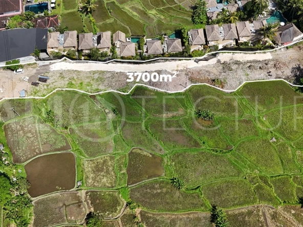 Prime-Land-for-Sale-with-Unobstructed-Rice-Field-Views-Near-Ubud-Centre-5