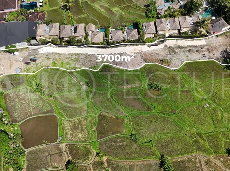 Prime-Land-for-Sale-with-Unobstructed-Rice-Field-Views-Near-Ubud-Centre-5