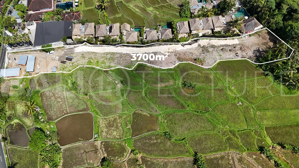 Prime-Land-for-Sale-with-Unobstructed-Rice-Field-Views-Near-Ubud-Centre-5