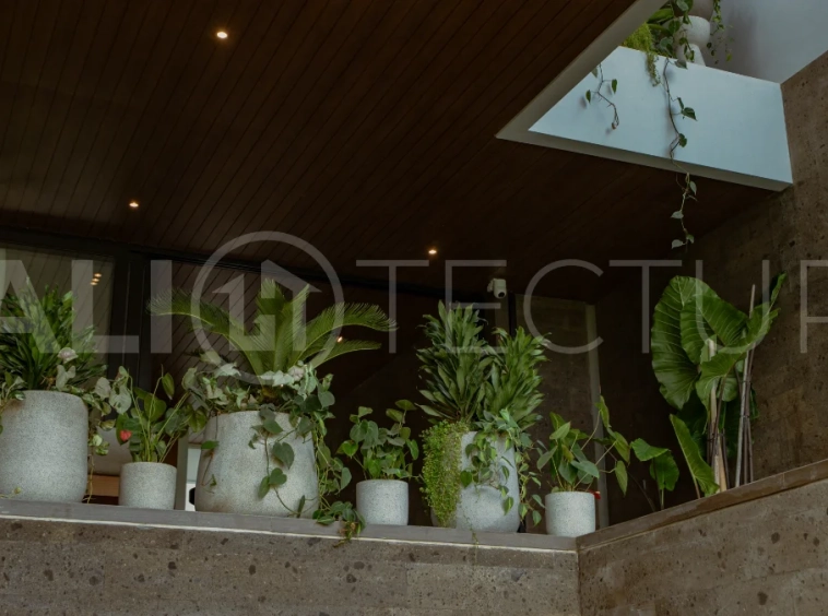 Ricefield-Views-3-Bedroom-Villa-for-Sale-in-Canggu-13