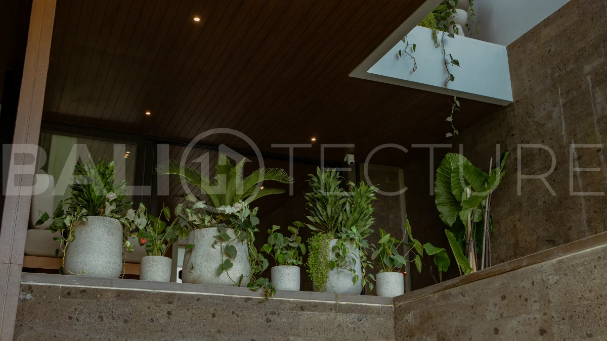 Ricefield-Views-3-Bedroom-Villa-for-Sale-in-Canggu-13