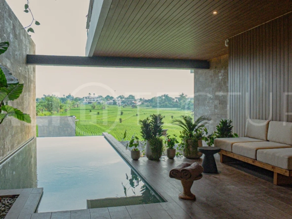 Ricefield-Views-3-Bedroom-Villa-for-Sale-in-Canggu-6
