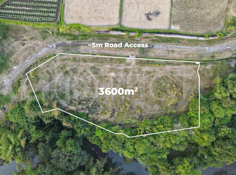 Riverside-3600m2-Land-for-Sale-near-Purnama-Beach-Ketewel-4