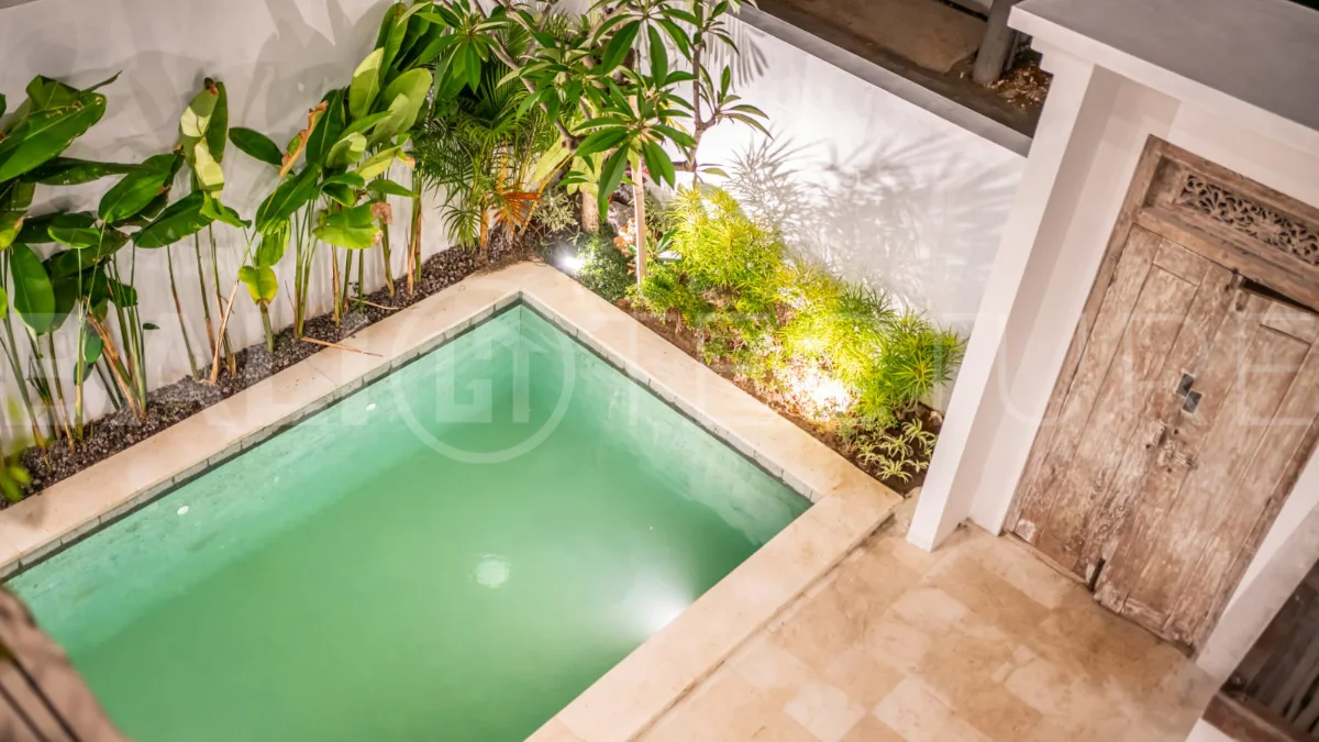 Brand-new 2-bedroom freehold villa near Pandawa Beach, featuring a modern tropical design, spacious interiors, high ceilings, large glass windows, private swimming pool, and elegant natural stone and wood finishes.