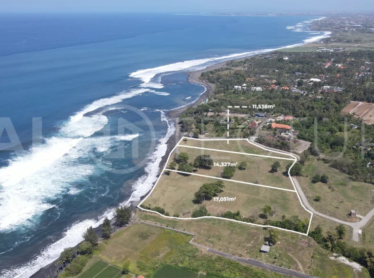 Expansive 42,916 m² freehold beachfront land for sale in Saba Beach, Bali, divided into three plots with direct access to the black-sand beach, surrounded by a tranquil undeveloped landscape in a Pink Zone tourism area.