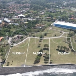 Expansive 42,916 m² freehold beachfront land for sale in Saba Beach, Bali, divided into three plots with direct access to the black-sand beach, surrounded by a tranquil undeveloped landscape in a Pink Zone tourism area.