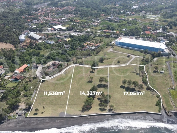 Expansive 42,916 m² freehold beachfront land for sale in Saba Beach, Bali, divided into three plots with direct access to the black-sand beach, surrounded by a tranquil undeveloped landscape in a Pink Zone tourism area.
